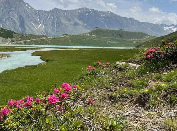 شقة Haus Am Steinbockzentrum سانكت ليونارد إم بيتزتال