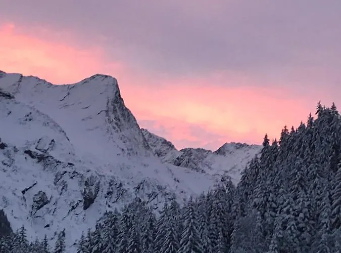 Appartement Haus Am Steinbockzentrum Sankt Leonhard im Pitztal